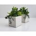 Cactus Artificial Succulent Fake Plants Ceramic White Planter Pot 4x4x7 2-Pack