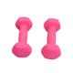 BESPORTBLE Pair Dumbell Man Vinyl Coated Hand Bar Workout Dumbbell Dumble Bells Women Barbells Lady Barbells Iron Material Dumbbells Barbells for Yoga Miss Breast Enlargement Small Dumbbell