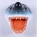 Rosecliff Heights Camaree Great White Shark Head Statue Resin in Blue/Gray/Red | 18 H x 18 W x 23 D in | Wayfair EA1F10D2F04E4C188388239114ED8444