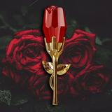EJWQWQE Red Rose Lady Perfume: Lasting Fragrance Fresh Flower Fragrance Rose Fragrance Red Wine Purification
