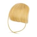 Clip in Bangs Real Hair - 2024 New Wispy Real Hair Bangs Clip in Human Hair Fringe Curtain Bangs Hair Clip on Wiggy Front Hair Pieces for Women Lace Front Bangs Clip in Hair Extensions