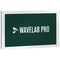 Steinberg Wavelab Pro 12