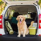 Tucker Murphy Pet™ Dog Car Barrier Wire Mesh Pet Guardrail Divider Guard Metal in Black | 11 H x 36 W x 0.1 D in | Wayfair