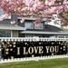 Valentine s Day Room Decor Banner Yard Decorations For Outdoor Indoor Party Decoration Supplies Home Bedroom