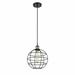 Innovations Lighting 516-1P-13-10 Lake Placid Pendant Lake Placid 10 Wide Cage Pendant -