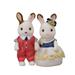 Calico Critters Town Series Cute Couple Set Set of 2 collectivle Doll Figures with Fashion and Floral Accessories