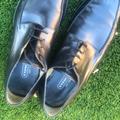 Coach Shoes | Coach Oxford Men's Dress Shoes - Size 13 | Color: Black | Size: 13