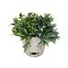 Tierra Garden Bamboo Blooms 7" Gray Leaves Round Self-Watering Bamboo Pot Natural Fibers in Green | 6.5 H x 7 W x 7 D in | Wayfair 5-70007