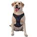 Ocsxa Sea Turtle Dog Harness For Small Large Dogs No Pull Service Vest With Reflective Strips Adjustable And Comfortable For Easy Walking No Choke Pet Harness