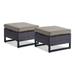 Latitude Run® Wicker Outdoor Ottoman w/ Cushions Set Of 2 Wicker/Rattan in Gray | 17 H x 23 W x 23 D in | Wayfair E8FC4B18C14C4358B1A43FF8719F7DD2