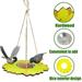 Holloyiver Hanging Bird Feeder for Outdoor Sunflower Style 3 Inch Diameter Bird Feeder Lightweight Hanging Bird Water Feeder for Garden Patio Backyard Decor Stainless Steel