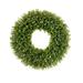 Regency International Foliage Greenery Plant Spring Boxwood Wreath 21