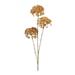 Melrose International Golden Hydrangea Stem (Set of 12)