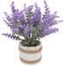 Lavender Potted Plant Artificial Plants Fake Lavender Bonsai Fake Plant Ornaments Artificial Plant Adornments Office