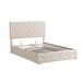Red Barrel Studio® Alixzandria Upholstered Platform Storage Bed Upholstered in Brown | 48.6 H x 58.8 W x 77.9 D in | Wayfair