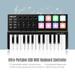 WORLDE Panda MINI 25-Key Ultra-Portable USB MIDI Keyboard Controller 8 Colorful Backlit Trigger Pads