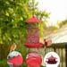 Fankiway Bird Feeders for Outdoors Bird Feeder For Outside Hanging Squirrel Proof Bird Seed Feeders Outdoor Bird Feeders Sparrow Finchs Chickadee Etc