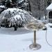 Home Appliances ZKCCNUK Bird Bath Heater For Outdoors In Winter - 10 W Birdbath Deicer With Thermostatic Control And 4.3 Ft Long Power Cord Energy Saving For Garden Yard Patio Clearance