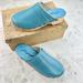 Free People Shoes | Nib Free People Callum Clog ~ Size 38/Us8 | Color: Blue | Size: 8