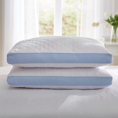 Gusseted Density Pillow 2-Pack by BrylaneHome in Firm Firm Blue (Size PSTAND)