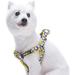 Blueberry Pet 2 Patterns Soft & Comfy Step-in Loving Daisy Prints Padded Dog Harness Chest Girth 20 - 26 Medium Adjustable Harnesses for Dogs