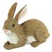 Design Toscano Bashful The Bunny Lying Down Rabbit Outdoor Garden Statue 5 Inches Wide 10 Inches Deep 7 Inches High Full Color Finish
