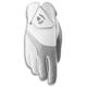 TaylorMade 2019 Kalea Women s Golf Glove White/Gray Worn on Right Hand Small