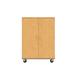 Stevens ID Systems Wardrobe/File Combo 48" W x 24" D x 67" H Cabinet for Classroom, Office Wood in Brown | Wayfair 80609 F67-055