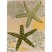 Nourison Aloha Coastal Starfish Indoor/Outdoor Area Rug