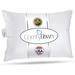 ComfyDown Travel Pillow - Filled with 800-FP Goose Down 300-TC Cover 12 x 16