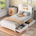 Twin Size Platform Bed Frame with Drawer/Trundle, Storage Bed with Light Strip and Shelves in Headboard