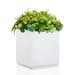 Wallowa Block Series Metallic Heavy Small Cube Planter Box Large Black Outdoor Planter Square Planter for Trees Tall Plants and Flowers 17â€�Lx17â€�Wx20â€�H 24Pounds White