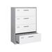 clarencehomeinc 4 Drawer Steel File Cabinet Filing Organization Storage Cabinets with Lock Gray White