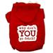 You Go Fetch Screen Print Pet Hoodies Red Size Med