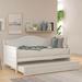 Lark Manor™ Escoba Solid Wood Standard Bed w/ Trundle Wood in White | 78.2 W x 42.3 D in | Wayfair 066AD080AD8C4B7685067E27F14C1DDA