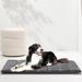 Allisandro Soft Waterproof Dog Bed Mat/Pad Polyester in Black/Gray | 1 H x 48 W x 30 D in | Wayfair MT003H06M28SLP