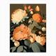 Cut Flowers Of Peonies Orange 2 Vintage Sketch Canvas Print by Petal Peonies