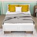 Red Barrel Studio® Maebelle Queen Storage Standard Bed Wood in White | 36 H x 63 W x 88 D in | Wayfair BE7FB1A25ACE4D5D9B10305D3C19D332