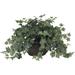 Nearly Natural 6635 Puff Ivy with Vase Decorative Silk Plant Green 10.25 x 10.25 x 17.5