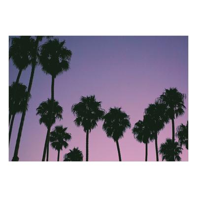 Tropical Non-pasted Wallpaper Wall Mural - Purple Sunset