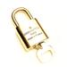 Louis Vuitton Jewelry | Authentic Louis Vuitton Padlock & Key Brass Gold Charm Lock All # 309 | Color: Gold | Size: Os