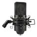 MXL 770 Multipurpose Large Diaphragm Condenser Microphone