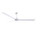 Alessandra 3-blade transitional ceiling fan in matte white finish with matte white blades Indoor or Outdoor Dimable LED Light Remote Control