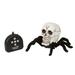 XIAN Plastic Skull Heads Vs Kong Toys Skull Heads For Halloween