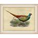 Wendover Art Group Pheasant Collection 8 - Picture Frame Graphic Art on Paper in Blue/Brown/Green | 17.88 H x 22.88 W x 1.5 D in | Wayfair PG6167