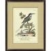 Wendover Art Group 'Bee Eater' - Picture Frame Painting Paper in Green | 29 H x 23 W x 0.875 D in | Wayfair PG1056