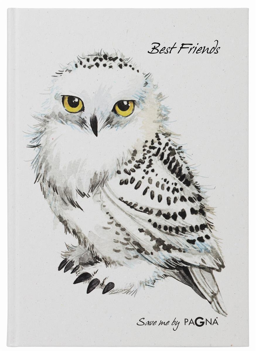 Pagna® 20369-15 Freundebuch Save me No.2 - Eule, 60 Seiten Image