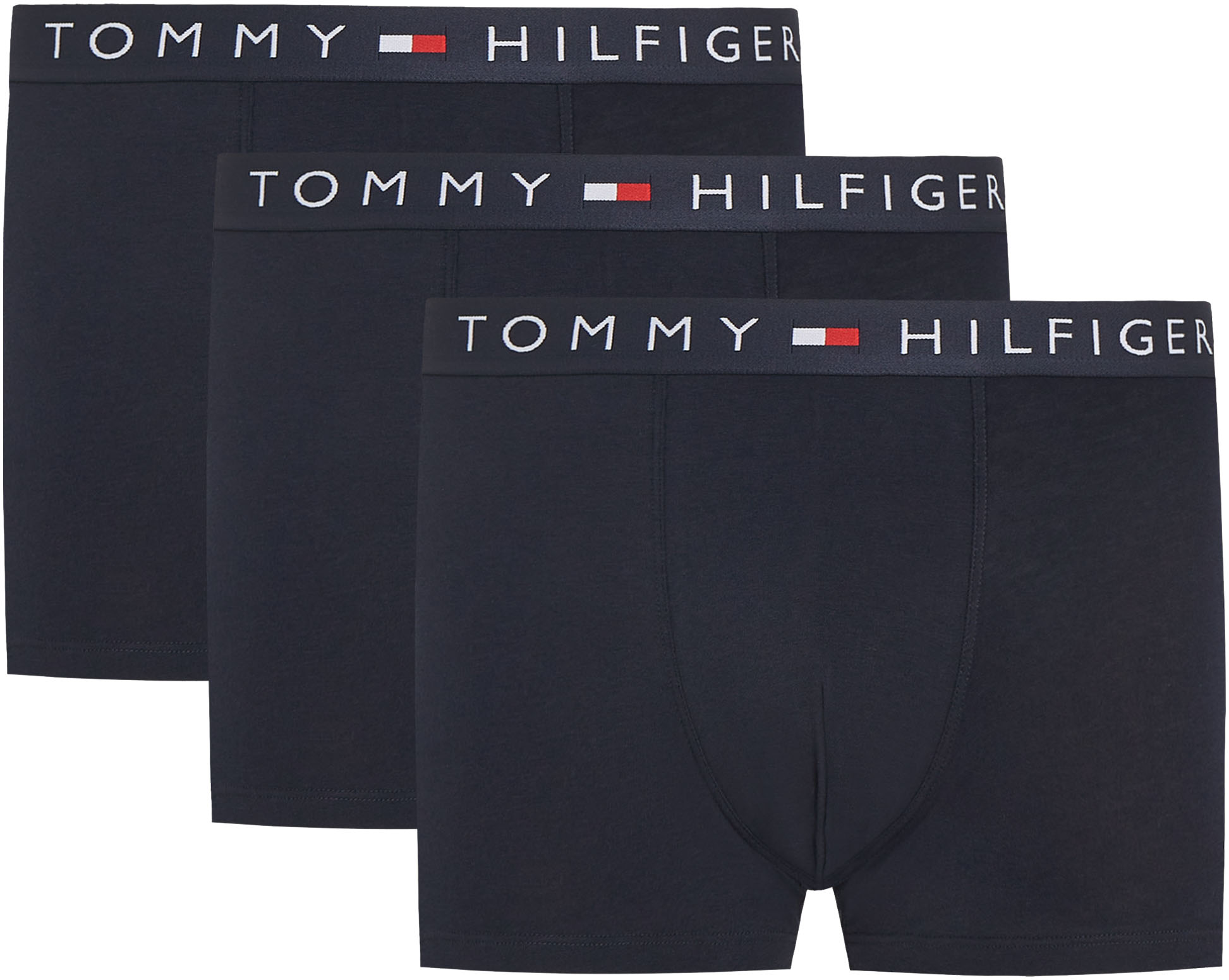 Trunk "3P TRUNK", Herren, Gr. L (52), 3 Stk., blau (des sky, des sky, des sky), Jersey, Obermaterial: 95% Baumwolle, 5% Elasthan, TOMMY HILFIGER UNDERWEAR, unifarben, körpernah, Unterhosen, mit Tommy Hilfiger Logoschriftzug