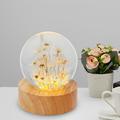 Qenwkxz Dandelion Crystal Ball Night Light with Wooden Base USB Powered Night Lamp Fancy Crystal LED Night Light Portable Night Lamp Crystal Ball Dandelion in Glass Night Lamp for Home