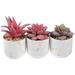 Fake Succulent Plants Small Gold Pattern White Background Ceramic Cup Potted Decor for Office Artificial Pe 3 Pcs